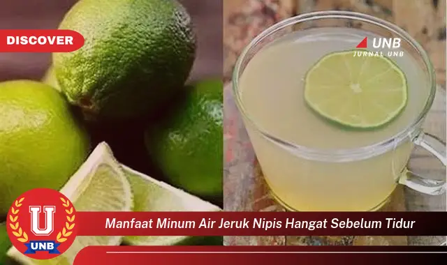 manfaat minum air jeruk nipis hangat sebelum tidur