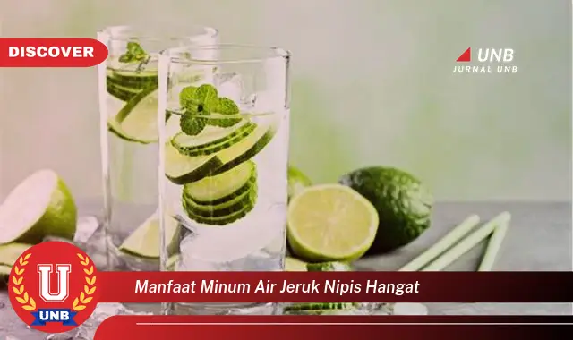 manfaat minum air jeruk nipis hangat