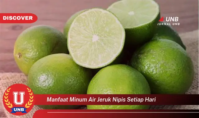 manfaat minum air jeruk nipis setiap hari