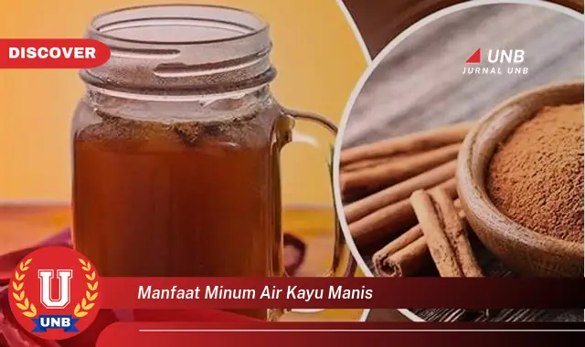 manfaat minum air kayu manis