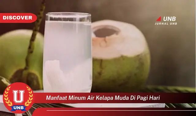 manfaat minum air kelapa muda di pagi hari