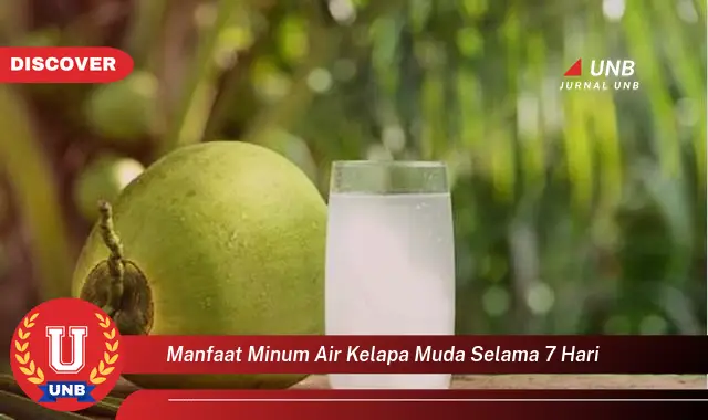 manfaat minum air kelapa muda selama 7 hari manfaat minum air kelapa muda selama 7 hari