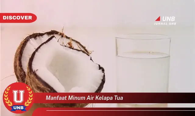 manfaat minum air kelapa tua