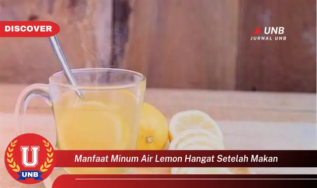 manfaat minum air lemon hangat setelah makan