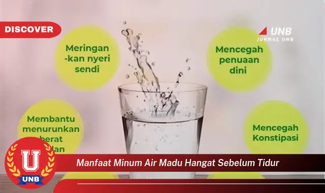manfaat minum air madu hangat sebelum tidur manfaat minum air madu hangat sebelum tidur