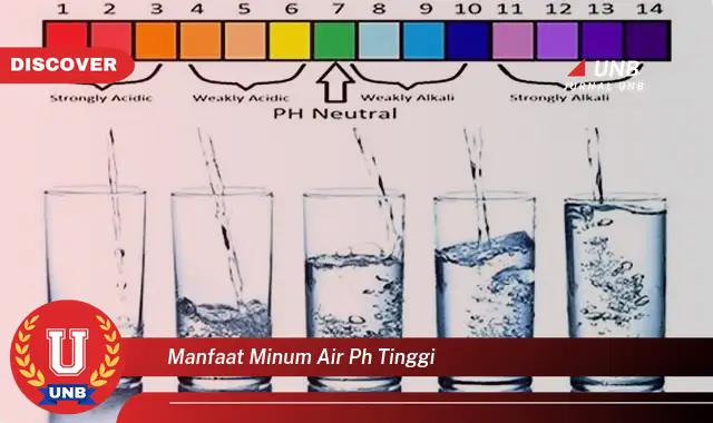 manfaat minum air ph tinggi