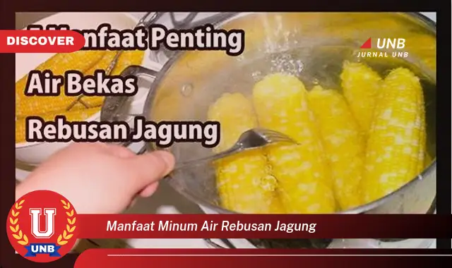 manfaat minum air rebusan jagung