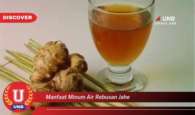 manfaat minum air rebusan jahe manfaat minum air rebusan jahe