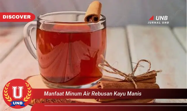 manfaat minum air rebusan kayu manis