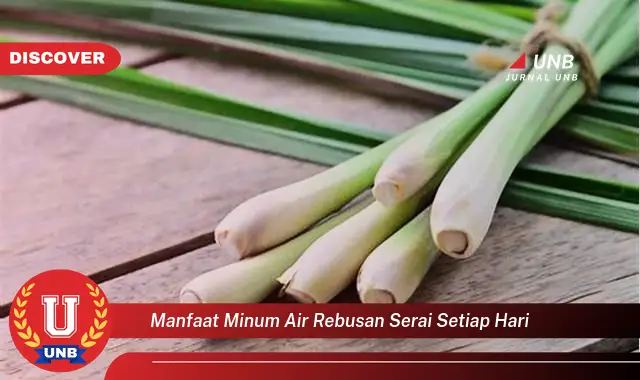 manfaat minum air rebusan serai setiap hari