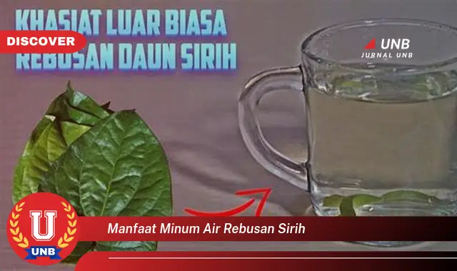 manfaat minum air rebusan sirih