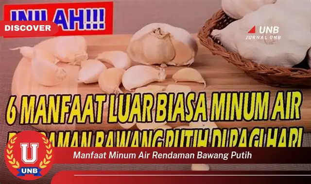 manfaat minum air rendaman bawang putih manfaat minum air rendaman bawang putih