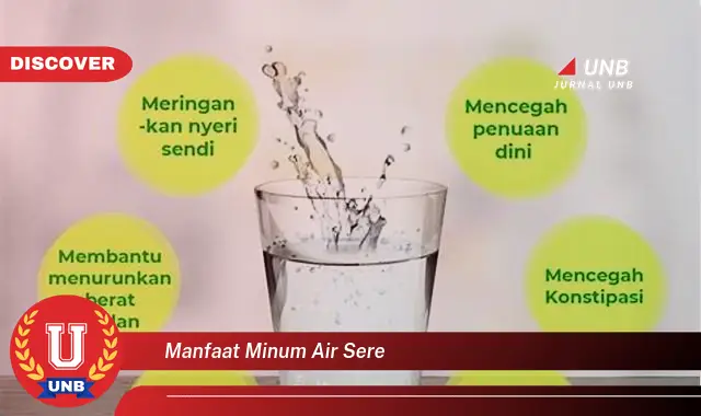 manfaat minum air sere manfaat minum air sere