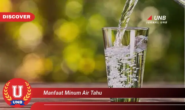 manfaat minum air tahu