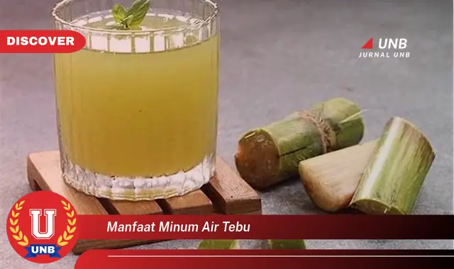 manfaat minum air tebu