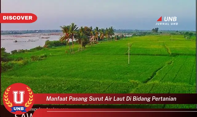 manfaat pasang surut air laut di bidang pertanian