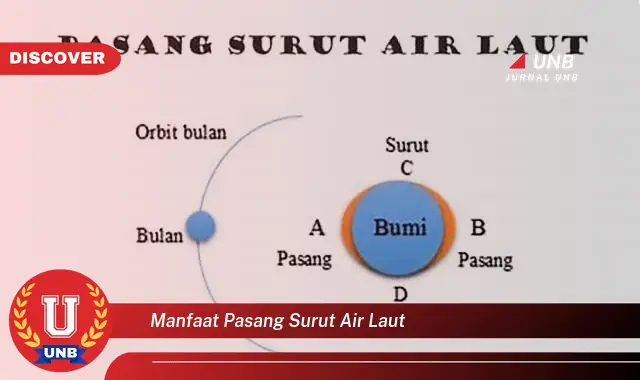 manfaat pasang surut air laut