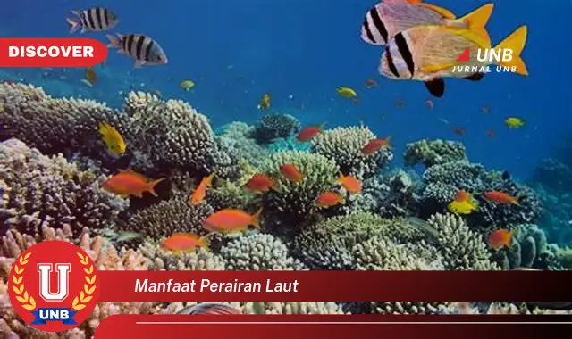 manfaat perairan laut