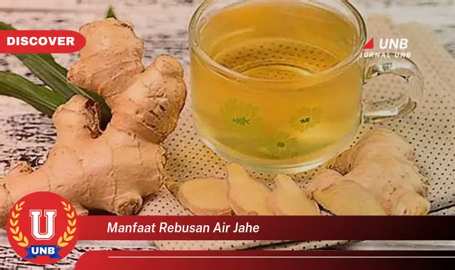 manfaat rebusan air jahe