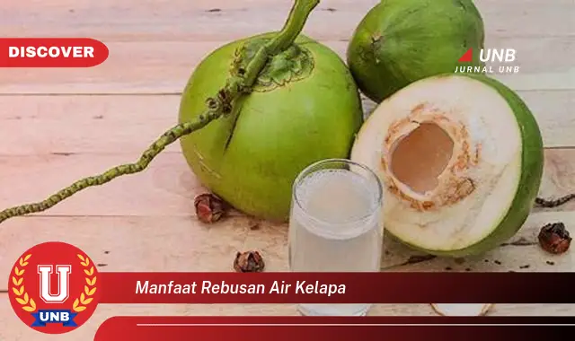 manfaat rebusan air kelapa