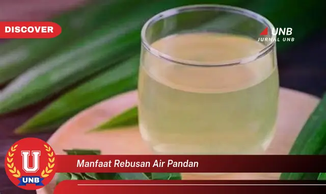 manfaat rebusan air pandan