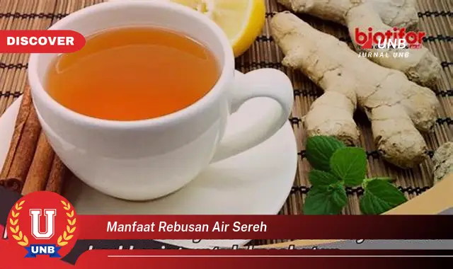 manfaat rebusan air sereh