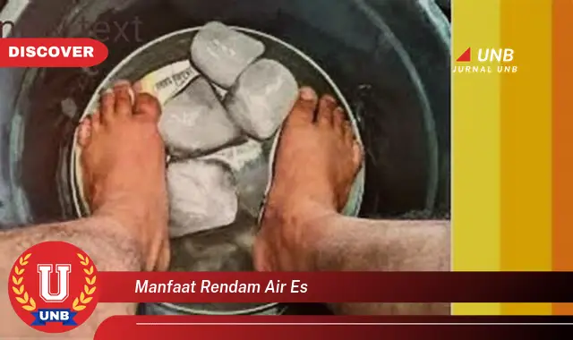 manfaat rendam air es