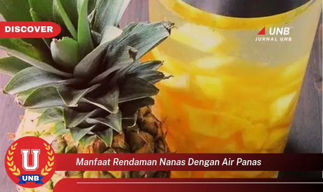 manfaat rendaman nanas dengan air panas manfaat rendaman nanas dengan air panas