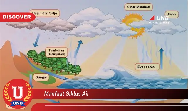 manfaat siklus air