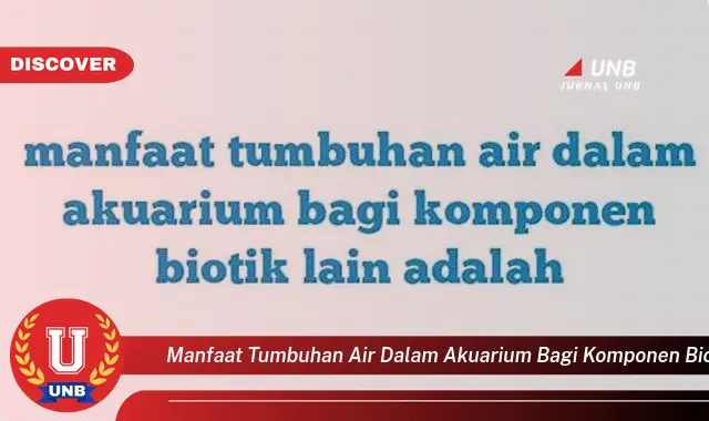 manfaat tumbuhan air dalam akuarium bagi komponen biotik lain adalah