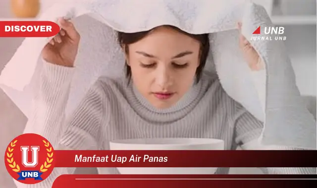 manfaat uap air panas manfaat uap air panas