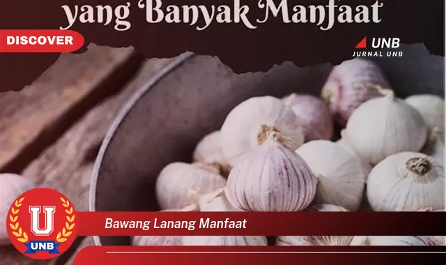 bawang lanang manfaat