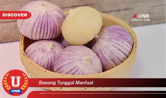 bawang tunggal manfaat