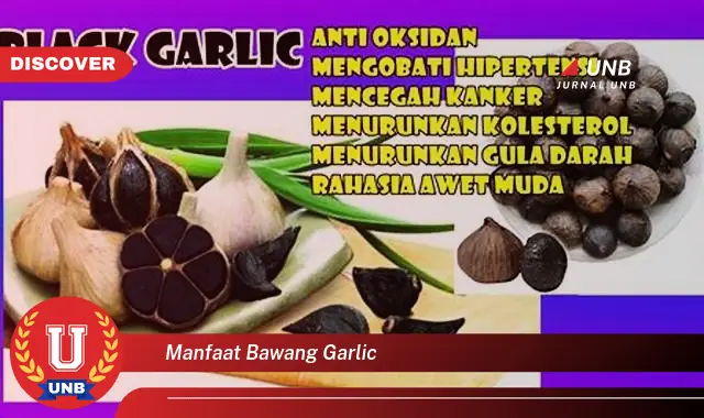 manfaat bawang garlic