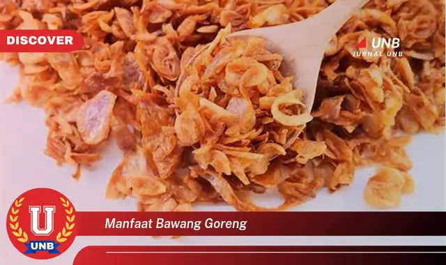 manfaat bawang goreng