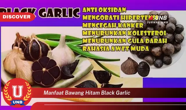 manfaat bawang hitam black garlic