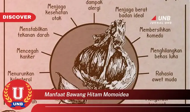manfaat bawang hitam momoidea