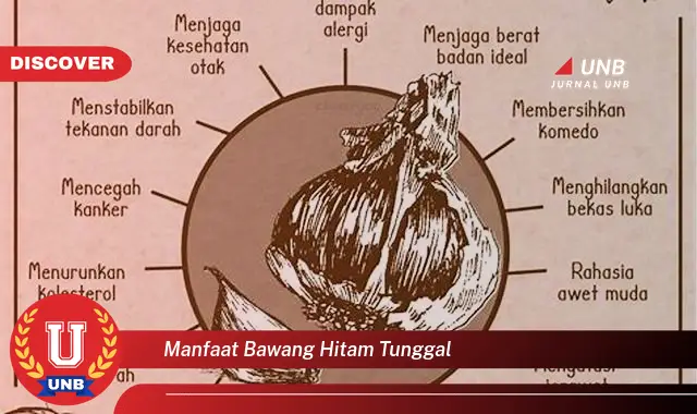 manfaat bawang hitam tunggal