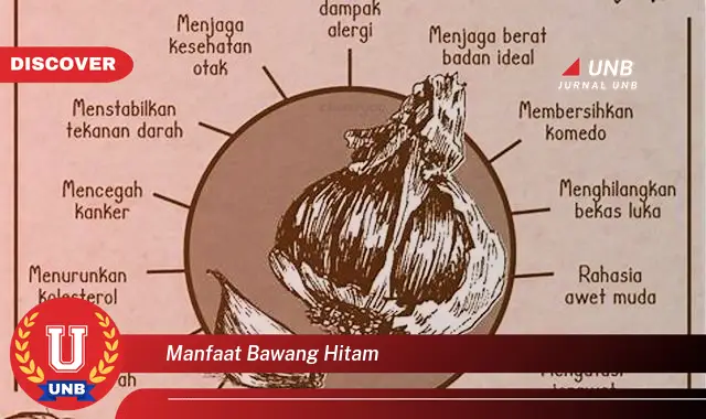 manfaat bawang hitam