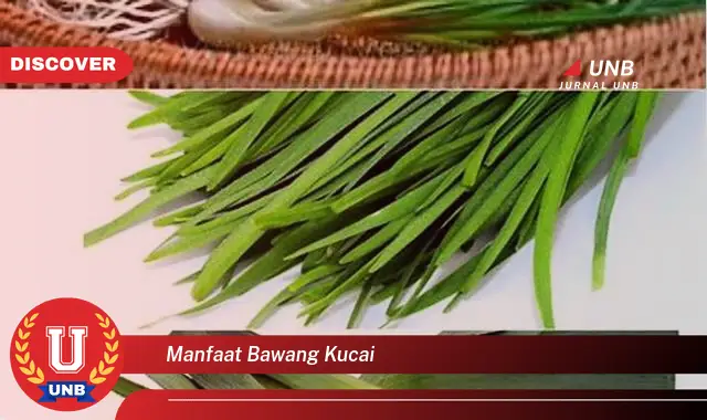 manfaat bawang kucai