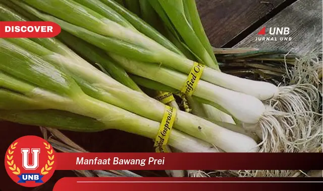 manfaat bawang prei