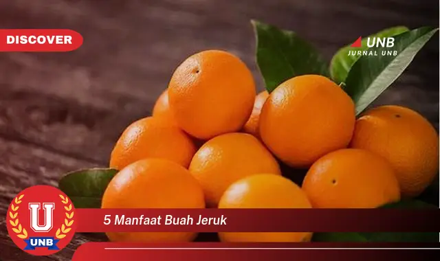 5 manfaat buah jeruk