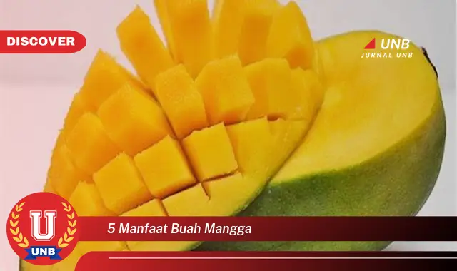 5 manfaat buah mangga 5 manfaat buah mangga