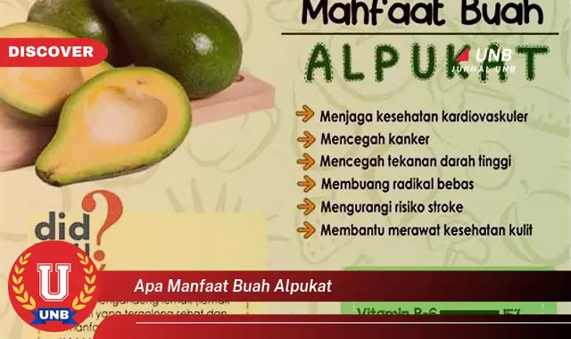 apa manfaat buah alpukat