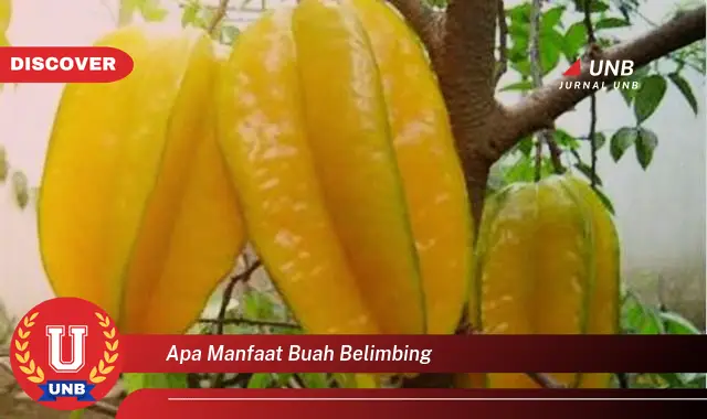 apa manfaat buah belimbing