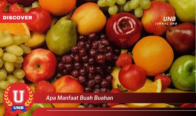 apa manfaat buah buahan