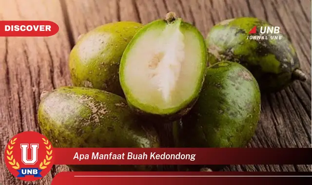 apa manfaat buah kedondong