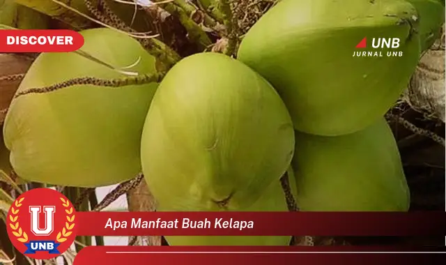 apa manfaat buah kelapa