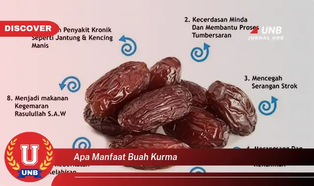 apa manfaat buah kurma apa manfaat buah kurma