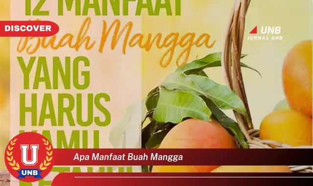 apa manfaat buah mangga